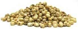 Sorghum