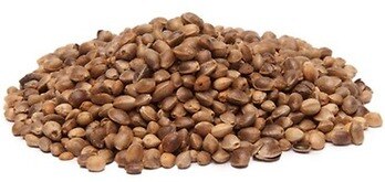 Hemp Seeds