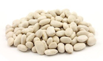 Great Northern and Cannellini