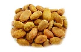 Cacao