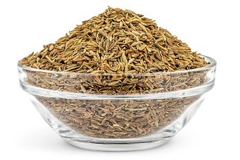 Seeds