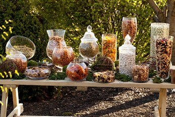 Rustic Snack Buffet