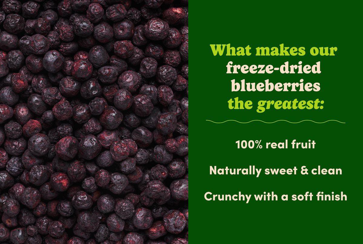 Freeze-Dried Blueberries