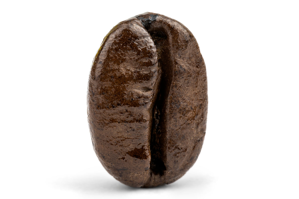 Decaf Colombian Medellin Supremo Coffee
