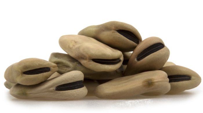 Fava Beans (Giant)