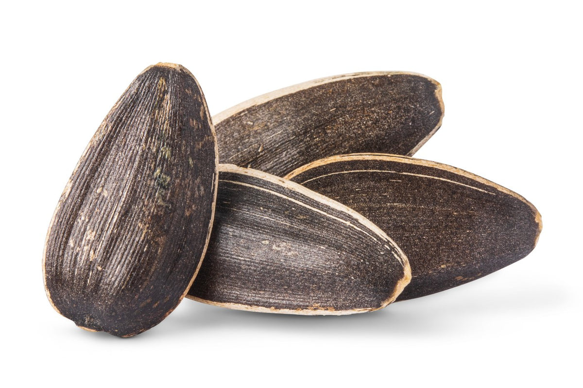 Jumbo Raw Sunflower Seeds (In Shell)