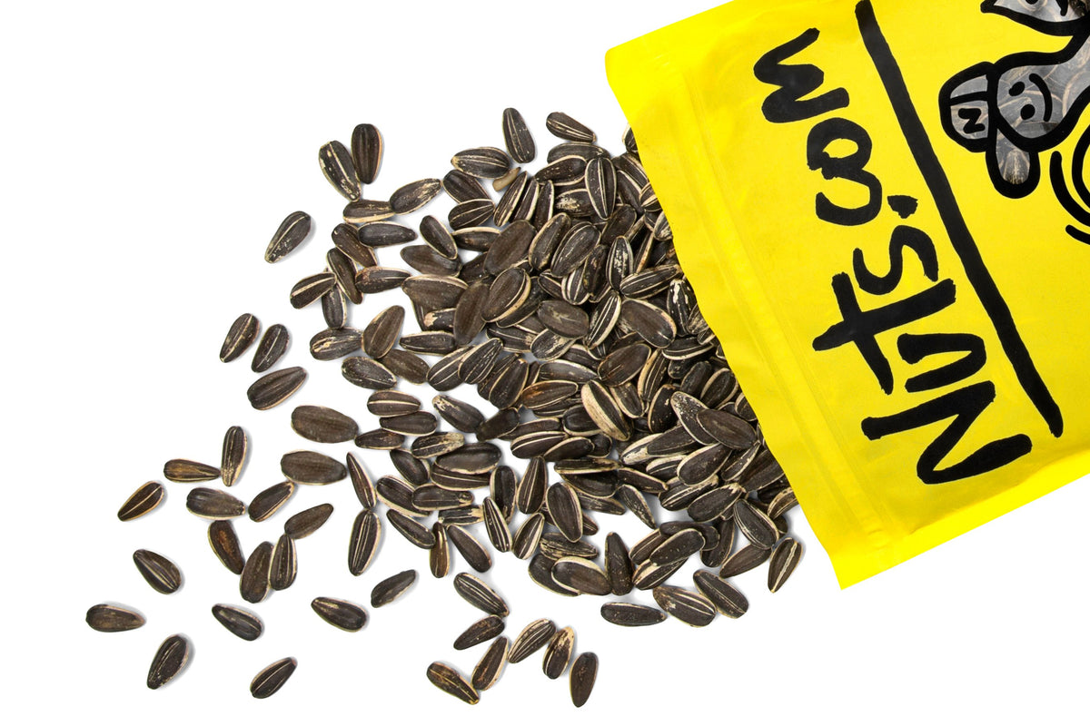 Jumbo Raw Sunflower Seeds (In Shell)