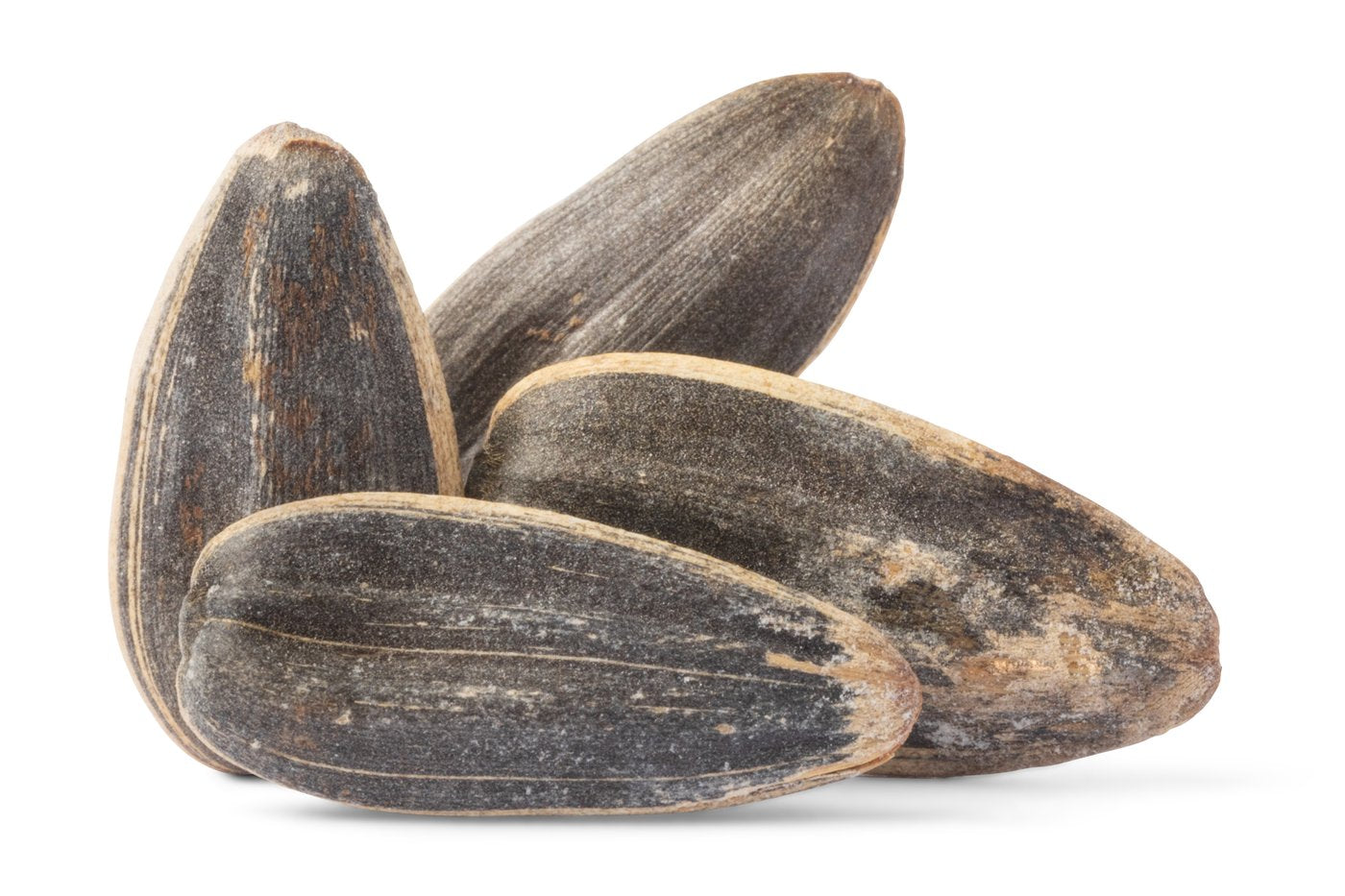 Jumbo Roasted Sunflower Seeds (In Shell, 50% Less Salt)