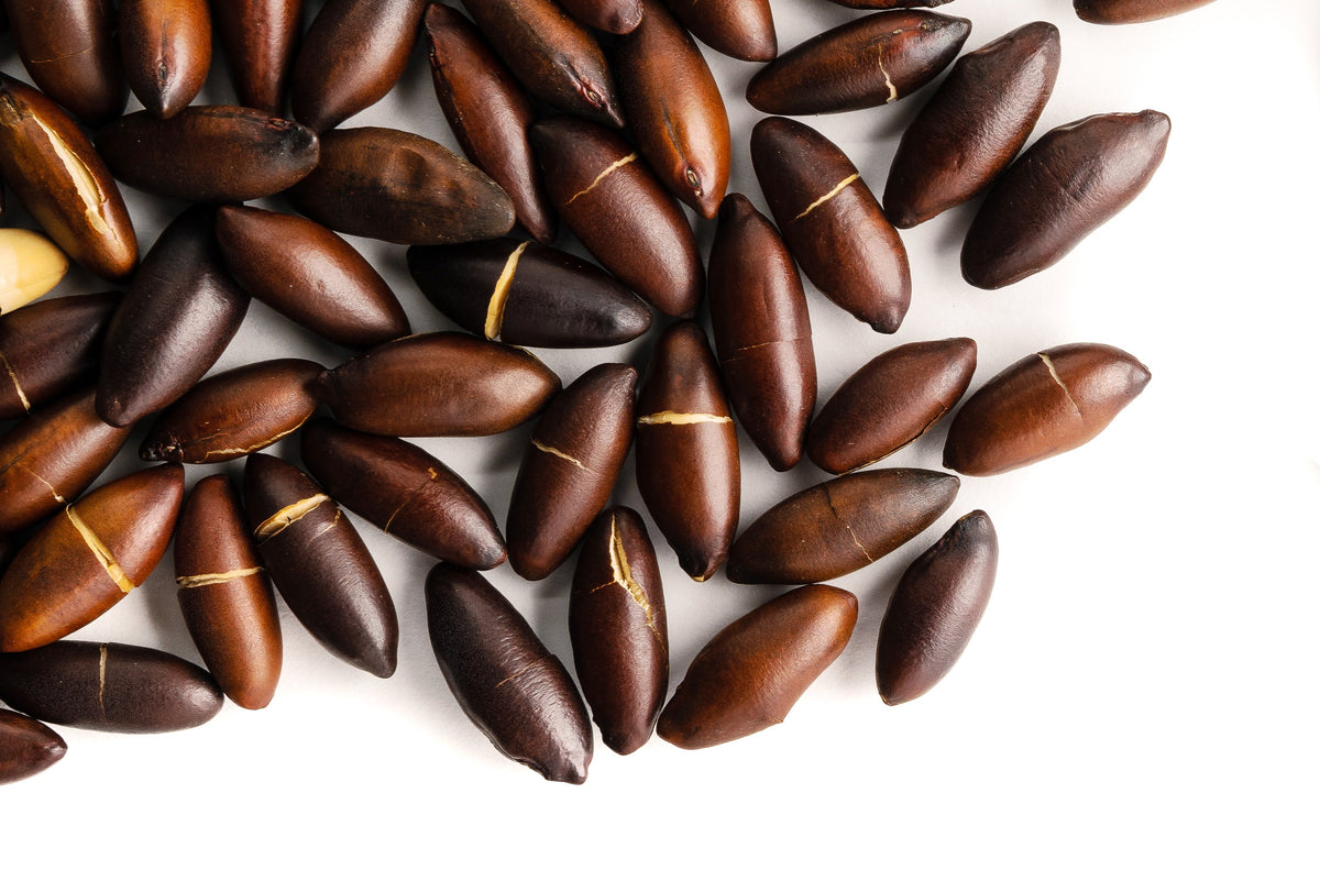 Roasted Baru Nuts (Salted)